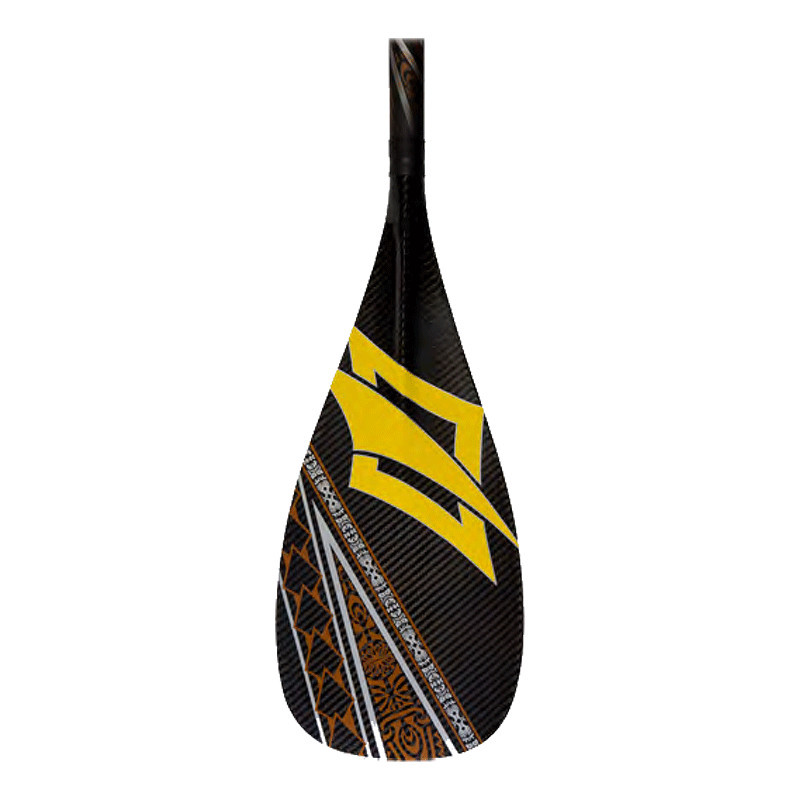 RACE LE CARBON 100 - FIXED