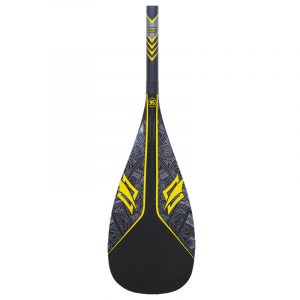 ELITE CARBON 100 - FIXED